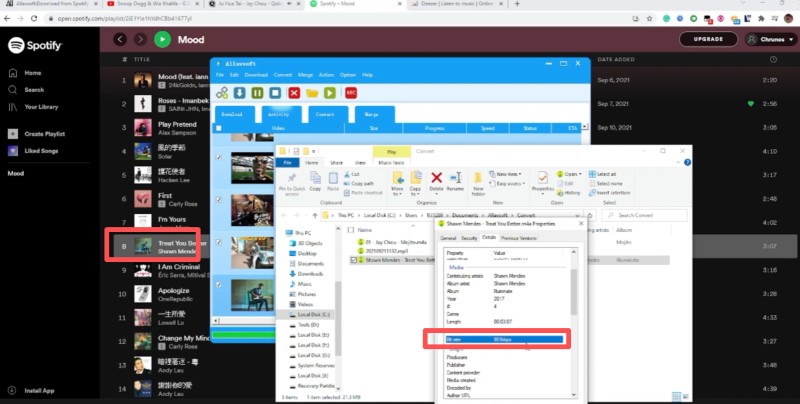 allavsoft download spotify
