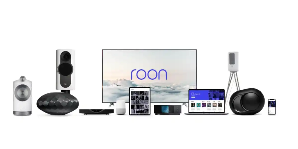 roon plays with everything